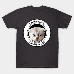 I'm Here Live, I'm Not A Cat T-Shirt